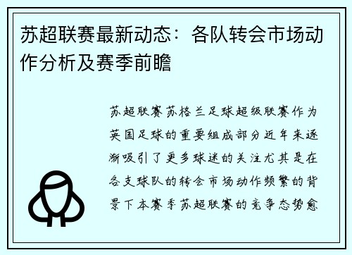 苏超联赛最新动态：各队转会市场动作分析及赛季前瞻