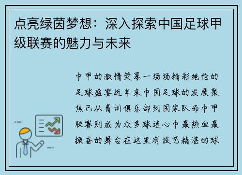 点亮绿茵梦想：深入探索中国足球甲级联赛的魅力与未来
