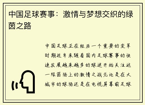 中国足球赛事：激情与梦想交织的绿茵之路